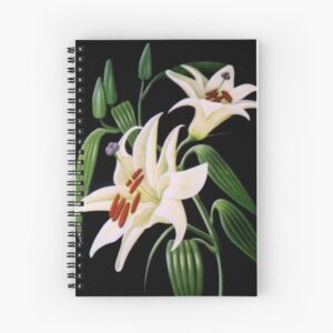 spiral notebook maker, spiral notebooks Australia, spiral notebook cost, spiral notebook design, spiral notebook example, spiral notebook essential, spiral notebook for notes, spiral notebook inside, spiral notebook near me, spiral notebook online, spiral notebook price, spiral notebook sale, stationery shop, stationery supplies, stationery shop near me, stationery shop adelaide, stationery adelaide, stationery Australia, stationery and stationary, stationery business, stationery design, stationery examples, stationery for girls, stationery for school, stationery gifts, stationery gift set, stationery gifts Australia, stationery gift ideas,