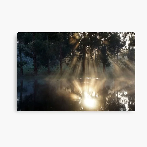 Canvas prints for sale by Adelaide Artist Avril Thomas at Magpie Springs