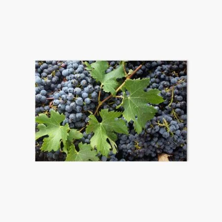 Art board Prints available for sale in this online shop, budget-friendly and ready to hang