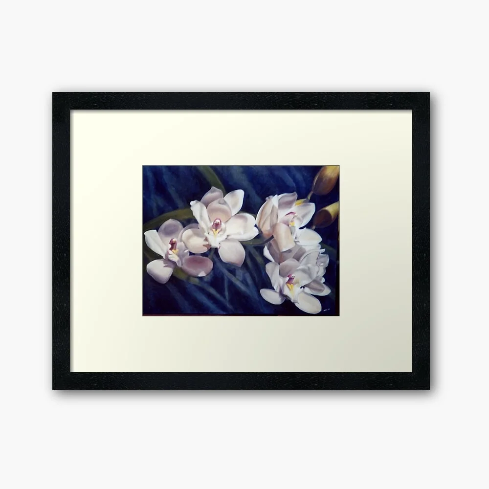 Framed prints for sale by Adelaide artist Avril Thomas at Magpie Springs in South Australia