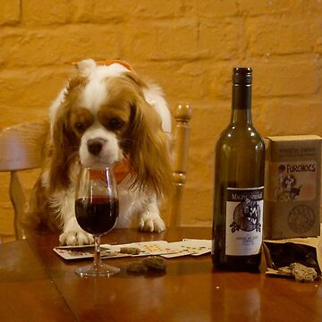 Wine Dog, Wine drinking, wine tasting, wine tasting outfit, wine funny, artforsale, art for sale, Prints for sale, Adelaide Artist, South Australia, Red Wine