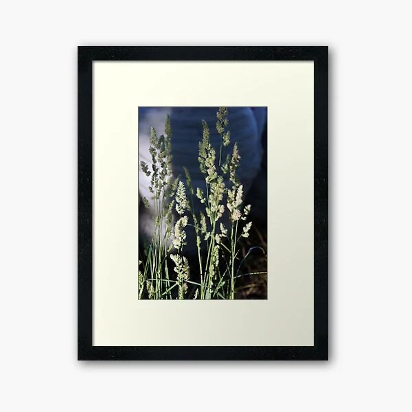 Photographic print with nature theme by South Australian Artist Avril Thomas