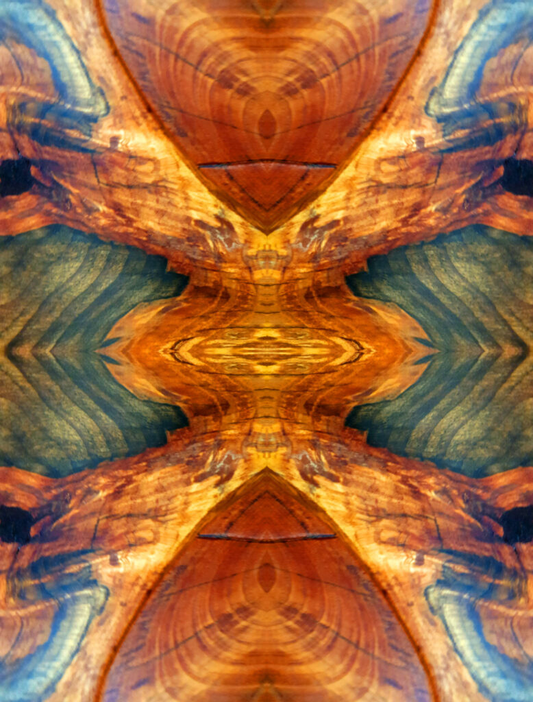 Adelaide Artist, South Australian Artist, Art for Sale Adelaide, Art for Sale Melbourne, Art for Sale Sydney, Fine art for sale, Art for sale Darwin, Abstract art for sale, Online art gallery, art prints for sale, online art shop, Abstract Art, Abstract artist, South Australia Artist, Art shop, Prints for sale, Online shop, Wall art shop, framed prints for sale, metal prints for sale, canvas prints for sale, Adelaide Art, South Australia Art, Avril Thomas,