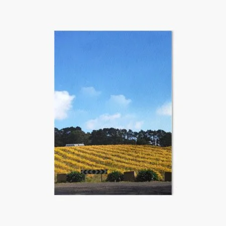 Prints for sale of landscapes, nature and abstract art by Adelaide Artist Avril Thomas