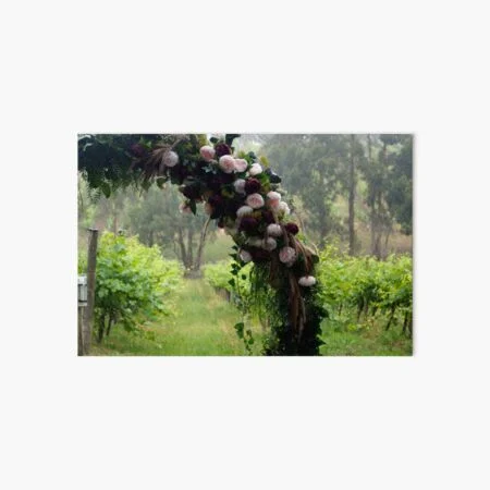 Photography and Abstract art for sale of the Fleurieu Peninsula, Adelaide Hills at Magpie Springs by Artist Avril Thomas