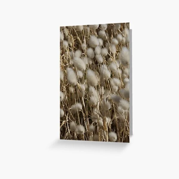 Greeting cards for sale online by Avril Thomas at Magpie Springs available via Redbubble
