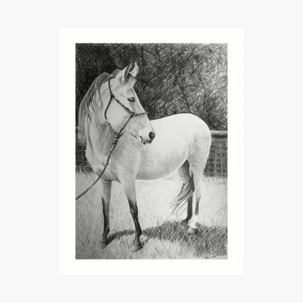 Artwork prints for sale online by Avril Thomas at Magpie Springs available via Redbubble