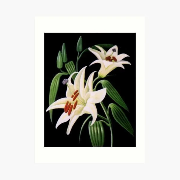 Artwork prints for sale online by South Australian Artist Avril Thomas at Magpie Springs available via Redbubble