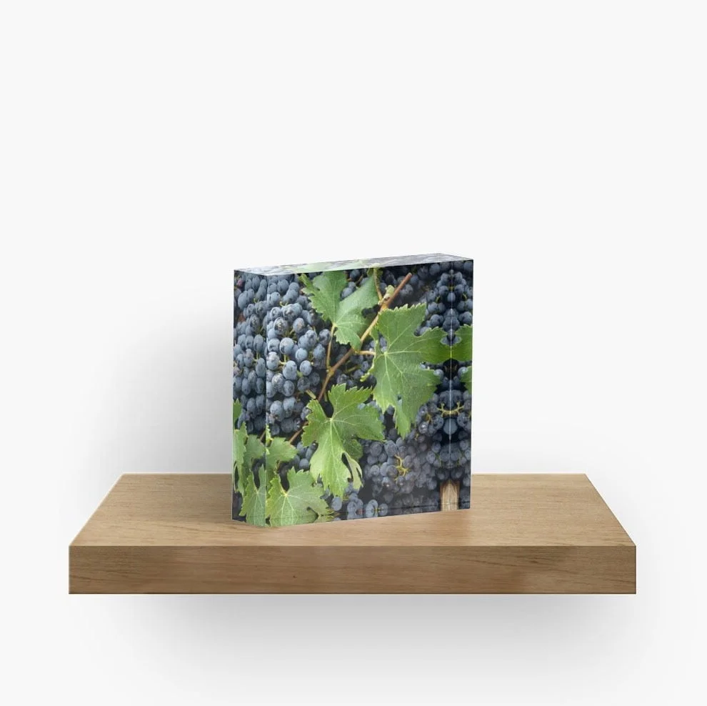 Home decor for sale. Acrylic Blocks for sale online by Avril Thomas at Magpie Springs available via Redbubble
