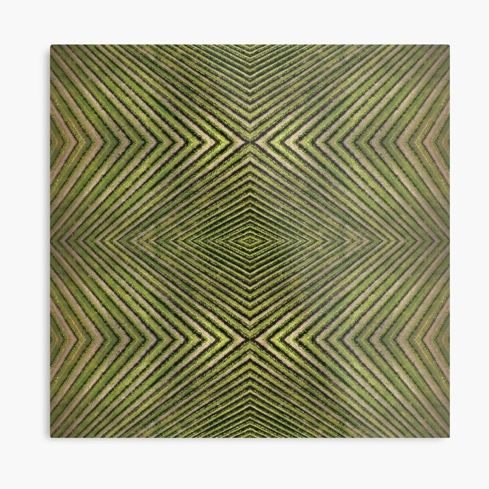 Abstract, paintings, drawings and photography Artwork prints for sale online by Avril Thomas at Magpie Springs available via Redbubble