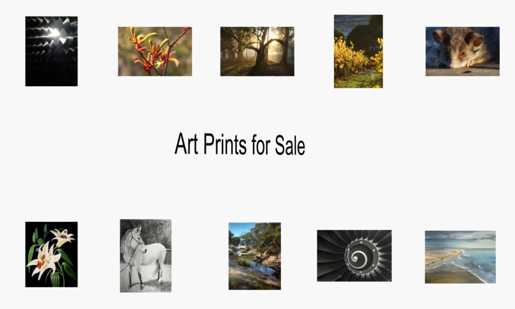 Art for sale, art prints for sale, Adelaide Artist, Wall decoration, decorating ideas, Adelaide Art Gallery, Adelaide artist, Adelaide photographer, Adelaide photography, Adelaide portrait artist, Archibald, Art, Art Adelaide, art for sale Adelaide, Art for sale Darwin, Art for Sale Melbourne, Art For Sale South Australia, Art for Sale Sydney, Art Gallery, Art Gallery near Adelaide, Art Gallery near Aldgate, Art Gallery near Victor Harbor, Art Gallery South of Adelaide, Art Prints, Art shop, Art shop Adelaide, art south Australia, Artist near Adelaide, Artist near me, Artist near Victor Harbor, Artist Studio, Australian portrait artist, Avril Thomas, Decorator, drawing, drawings, Exhibition Adelaide, Exhibition South Australia, Fine Art Prints, Framed Wall Art, gift ideas, Gift Shop, gift shop Adelaide, Gift Shop online, gifts, handmade Portraits, Magpie Springs, Magpie Springs Art Gallery, Oil Painting, Online Art Gallery, Online art shop, Original Art Adelaide, paintings, Photographic Prints, Portrait Artist Adelaide, Portrait Artist Australia, Portrait Artist South Australia, portraits, prints for sale, Prints for sale Adelaide, South Australian Art Gallery, south Australian artist, South Australian Art, Wall Art shops, home décor, Avril Thomas,