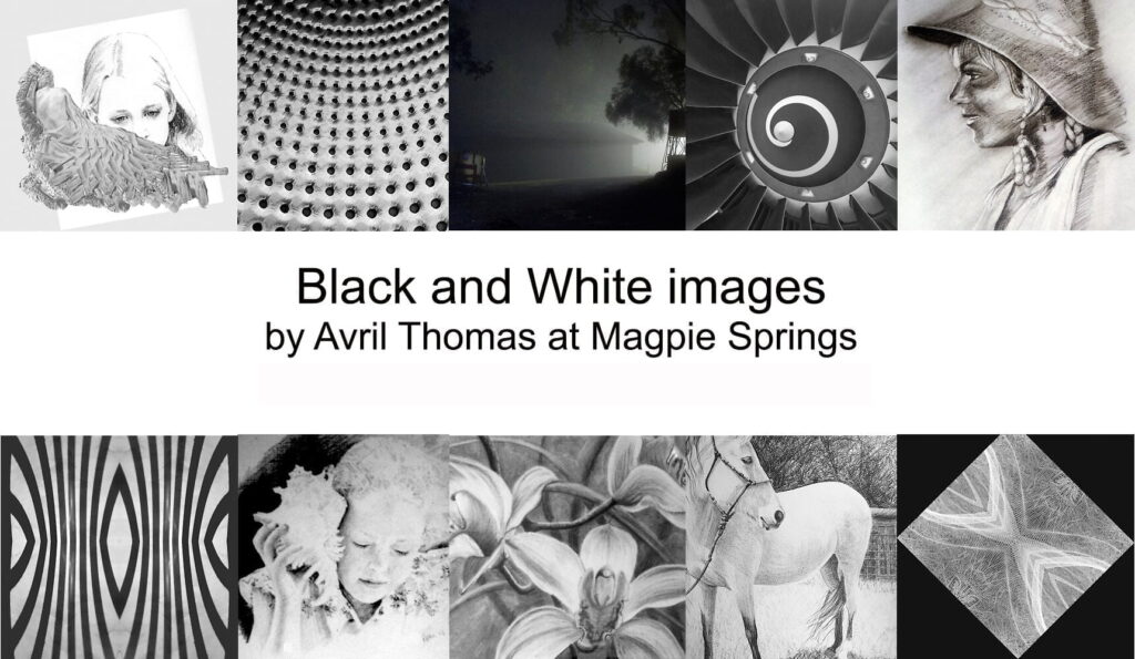 Art for sale, Black and white art, B+W art for sale, Adelaide artist, Melbourne artist, Sydney Artist, Brisbane Artist, Australian Artist, South Australian Artist, Prints for sale, Adelaide Artist Prints, Artists to watch, Adelaide artists you should know, best Adelaide artist, Adelaide Artists, Adelaide Female Artist, famous Adelaide painters, Adelaide Artist prints, Avril Thomas, Magpie Springs, Australian art for sale, Australian Artist,