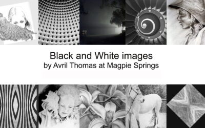 Black and White Art for sale, Adelaide Artist Avril Thomas