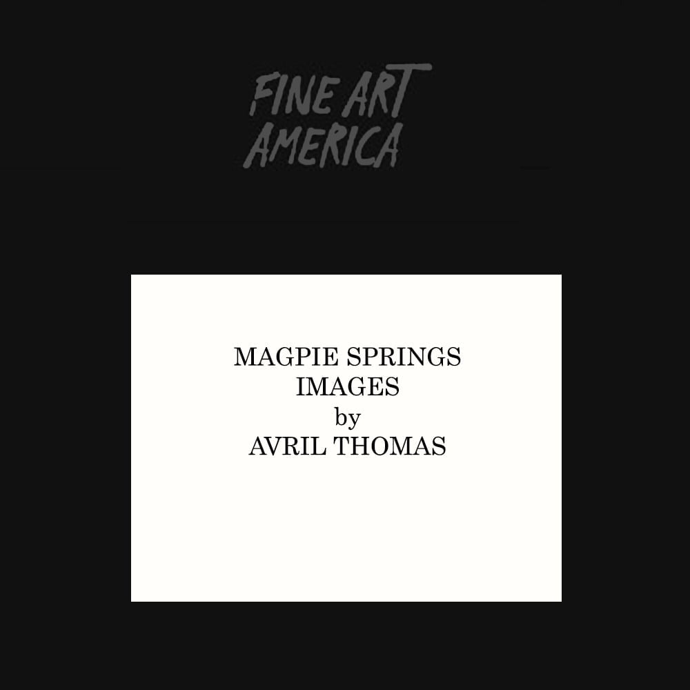 Fine Art America, Avril Thomas, Magpie Springs, Adelaide Artist, Australian Artist, SouthAustralian Artist, Art for sale,
