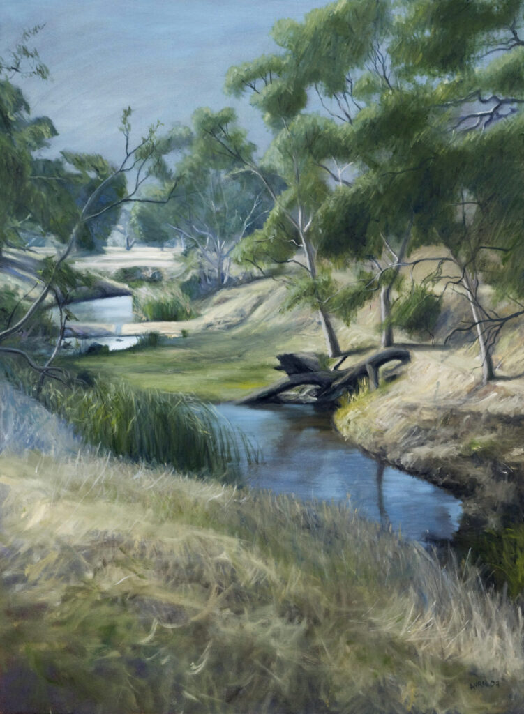 Adelaide Exhibitions, Exhibitions in Adelaide, Best Adelaide artists, Adelaide artist, Art gallery, Flinders Medical Centre, Arts in Health, Adelaide Portrait artist, Best South Australian artists, Art curator Adelaide, Avril Thomas, Magpie Springs, Magpie Springs Art Gallery, South Australian Artist, South Australian artist, Realist artist, contemporary artist, Top best artists Adelaide, Discover Artists South Australia, Best Artists in Adelaide, Artists to watch Adelaide, Famous Australian Artist, famous Australian painter, best fine artist, South Australian women painter, south Australian based artist, Best South Australian artist, South Australian artists, Adelaide Hills artists, South Australian artists list, South Australian portrait painter, best portrait artist Adelaide, Commission a portrait in Adelaide, Commission an oil painting in Adelaide, Art for sale, Adelaide Art For Sale, Australian art for sale, landscape painting for sale, fine art for sale, oil painting for sale, Adelaide art gallery, Fleurieu art gallery, art gallery near McLaren Vale, Art gallery near Adelaide, Adelaide artists you should know, handmade art for sale, art for sale by artist,