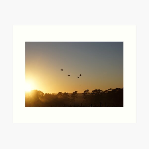 Original art for sale Adelaide, Adelaide art for sale online, Adelaide art for sale cheap, Art prints Adelaide, Wall art Adelaide, Framed prints Adelaide, Adelaide Artists, Picture shops Adelaide, Original art for sale Adelaide south, Original art for sale Adelaide cheap, Art Galleries Adelaide, Art for sale Adelaide, Adelaide Artists, Wall art shops Adelaide, picture shops Adelaide, House of prints Adelaide, Art Prints Adelaide, Avril Thomas, Magpie Springs, Photos of the Fleurieu Peninsula, photos of the Fleurieu Peninsula for sale, Fleurieu peninsula artists, Fleurieu artists, Fleurieu peninsula art for sale, Shop Fleurieu Peninsula, Prints, Fine art prints of Fleurieu Peninsula, Fleurieu Peninsula Artworks for Sale, buy art online, buy art prints, buy art prints Australia, buy art prints Melbourne, buy art prints Sydney, buy art Adelaide, buy art prints online Australia, Wall art Adelaide cheap, wall art Adelaide, 