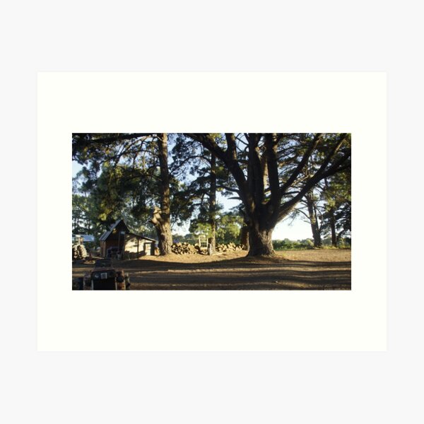 Adelaide Art for Sale, Art for sale, art prints for sale,  Adelaide Artist, Wall decoration, decorating ideas, Adelaide Art Gallery, Adelaide artist, Adelaide photographer, Adelaide photography, Adelaide portrait artist, Archibald, Art, Art Adelaide, art for sale Adelaide, Art for sale Darwin, Art for Sale Melbourne, Art For Sale South Australia, Art for Sale Sydney, Art Gallery, Art Gallery near Adelaide, Art Gallery near Aldgate, Art Gallery near Victor Harbor, Art Gallery South of Adelaide, Art Prints, Art shop, Art shop Adelaide, art south Australia, Artist near Adelaide, Artist near me, Artist near Victor Harbor, Artist Studio, Australian portrait artist, Avril Thomas, Decorator, drawing, drawings, Exhibition Adelaide, Exhibition South Australia, Fine Art Prints, Framed Wall Art, gift ideas, Gift Shop, gift shop Adelaide, Gift Shop online, gifts, handmade Portraits, Magpie Springs, Magpie Springs Art Gallery, Oil Painting, Online Art Gallery, Online art shop, Original Art Adelaide, paintings, Photographic Prints, Portrait Artist Adelaide, Portrait Artist Australia, Portrait Artist South Australia, portraits, prints for sale, Prints for sale Adelaide, South Australian Art Gallery, south Australian artist, South Australian Art, Wall Art shops, home décor, Adelaide Artist you should know, Art for Sale online, Avril Thomas, Magpie Springs images, Prints of paintings, Adelaide Hills Wine Region, Art Print for sale, Fleurieu Peninsula, see south Australia, visit South Australia