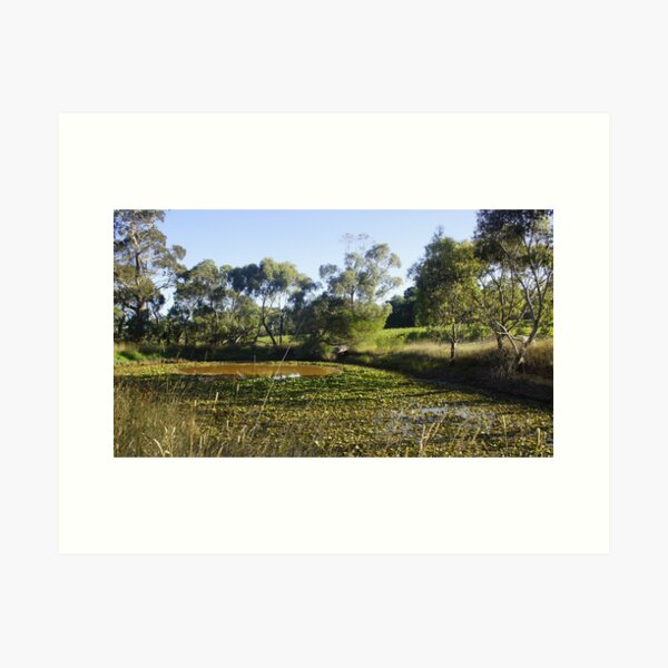 Adelaide Art for Sale, Art for sale, art prints for sale,  Adelaide Artist, Wall decoration, decorating ideas, Adelaide Art Gallery, Adelaide artist, Adelaide photographer, Adelaide photography, Adelaide portrait artist, Archibald, Art, Art Adelaide, art for sale Adelaide, Art for sale Darwin, Art for Sale Melbourne, Art For Sale South Australia, Art for Sale Sydney, Art Gallery, Art Gallery near Adelaide, Art Gallery near Aldgate, Art Gallery near Victor Harbor, Art Gallery South of Adelaide, Art Prints, Art shop, Art shop Adelaide, art south Australia, Artist near Adelaide, Artist near me, Artist near Victor Harbor, Artist Studio, Australian portrait artist, Avril Thomas, Decorator, drawing, drawings, Exhibition Adelaide, Exhibition South Australia, Fine Art Prints, Framed Wall Art, gift ideas, Gift Shop, gift shop Adelaide, Gift Shop online, gifts, handmade Portraits, Magpie Springs, Magpie Springs Art Gallery, Oil Painting, Online Art Gallery, Online art shop, Original Art Adelaide, paintings, Photographic Prints, Portrait Artist Adelaide, Portrait Artist Australia, Portrait Artist South Australia, portraits, prints for sale, Prints for sale Adelaide, South Australian Art Gallery, south Australian artist, South Australian Art, Wall Art shops, home décor, Adelaide Artist you should know, Art for Sale online, Avril Thomas, Magpie Springs images, Prints of paintings, Adelaide Hills Wine Region, Art Print for sale, Fleurieu Peninsula, see south Australia, visit South Australia, Pinot Noir, Merlot, Shiraz, Wine industry,