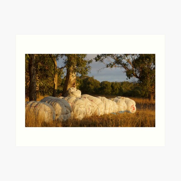 Original art for sale Adelaide, Adelaide art for sale online, Adelaide art for sale cheap, Art prints Adelaide, Wall art Adelaide, Framed prints Adelaide, Adelaide Artists, Picture shops Adelaide, Original art for sale Adelaide south, Original art for sale Adelaide cheap, Art Galleries Adelaide, Art for sale Adelaide, Adelaide Artists, Wall art shops Adelaide, picture shops Adelaide, House of prints Adelaide, Art Prints Adelaide, Avril Thomas, Magpie Springs, Photos of the Fleurieu Peninsula, photos of the Fleurieu Peninsula for sale, Fleurieu peninsula artists, Fleurieu artists, Fleurieu peninsula art for sale, Shop Fleurieu Peninsula, Prints, Fine art prints of Fleurieu Peninsula, Fleurieu Peninsula Artworks for Sale, buy art online, buy art prints, buy art prints Australia, buy art prints Melbourne, buy art prints Sydney, buy art Adelaide, buy art prints online Australia, Wall art Adelaide cheap, wall art Adelaide, Redbubble, Redbubble artist, Redbubble Shop, Bestselling Redbubble prints, Best selling artist on Redbubble, Wine region, wine industry, Adelaide Hills Wine Region, South Australian wine Region,