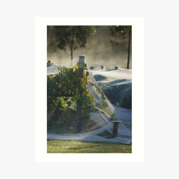 Original art for sale Adelaide, Adelaide art for sale online, Adelaide art for sale cheap, Art prints Adelaide, Wall art Adelaide, Framed prints Adelaide, Adelaide Artists, Picture shops Adelaide, Original art for sale Adelaide south, Original art for sale Adelaide cheap, Art Galleries Adelaide, Art for sale Adelaide, Adelaide Artists, Wall art shops Adelaide, picture shops Adelaide, House of prints Adelaide, Art Prints Adelaide, Avril Thomas, Magpie Springs, Photos of the Fleurieu Peninsula, photos of the Fleurieu Peninsula for sale, Fleurieu peninsula artists, Fleurieu artists, Fleurieu peninsula art for sale, Shop Fleurieu Peninsula, Prints, Fine art prints of Fleurieu Peninsula, Fleurieu Peninsula Artworks for Sale, buy art online, buy art prints, buy art prints Australia, buy art prints Melbourne, buy art prints Sydney, buy art Adelaide, buy art prints online Australia, Wall art Adelaide cheap, wall art Adelaide, Redbubble, Redbubble artist, Redbubble Shop,