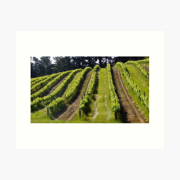 Original art for sale Adelaide, Adelaide art for sale online, Adelaide art for sale cheap, Art prints Adelaide, Wall art Adelaide, Framed prints Adelaide, Adelaide Artists, Picture shops Adelaide, Original art for sale Adelaide south, Original art for sale Adelaide cheap, Art Galleries Adelaide, Art for sale Adelaide, Adelaide Artists, Wall art shops Adelaide, picture shops Adelaide, House of prints Adelaide, Art Prints Adelaide, Avril Thomas, Magpie Springs, Photos of the Fleurieu Peninsula, photos of the Fleurieu Peninsula for sale, Fleurieu peninsula artists, Fleurieu artists, Fleurieu peninsula art for sale, Shop Fleurieu Peninsula, Prints, Fine art prints of Fleurieu Peninsula, Fleurieu Peninsula Artworks for Sale, buy art online, buy art prints, buy art prints Australia, buy art prints Melbourne, buy art prints Sydney, buy art Adelaide, buy art prints online Australia, Wall art Adelaide cheap, wall art Adelaide, 