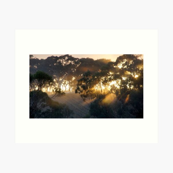 Adelaide Art for Sale, Art for sale, art prints for sale,  Adelaide Artist, Wall decoration, decorating ideas, Adelaide Art Gallery, Adelaide artist, Adelaide photographer, Adelaide photography, Adelaide portrait artist, Archibald, Art, Art Adelaide, art for sale Adelaide, Art for sale Darwin, Art for Sale Melbourne, Art For Sale South Australia, Art for Sale Sydney, Art Gallery, Art Gallery near Adelaide, Art Gallery near Aldgate, Art Gallery near Victor Harbor, Art Gallery South of Adelaide, Art Prints, Art shop, Art shop Adelaide, art south Australia, Artist near Adelaide, Artist near me, Artist near Victor Harbor, Artist Studio, Australian portrait artist, Avril Thomas, Decorator, drawing, drawings, Exhibition Adelaide, Exhibition South Australia, Fine Art Prints, Framed Wall Art, gift ideas, Gift Shop, gift shop Adelaide, Gift Shop online, gifts, handmade Portraits, Magpie Springs, Magpie Springs Art Gallery, Oil Painting, Online Art Gallery, Online art shop, Original Art Adelaide, paintings, Photographic Prints, Portrait Artist Adelaide, Portrait Artist Australia, Portrait Artist South Australia, portraits, prints for sale, Prints for sale Adelaide, South Australian Art Gallery, south Australian artist, South Australian Art, Wall Art shops, home décor, Adelaide Artist you should know, Art for Sale online, Avril Thomas, Magpie Springs images, Prints of paintings, Adelaide Hills Wine Region, Art Print for sale, Fleurieu Peninsula, see south Australia, visit South Australia, Golden Hour,