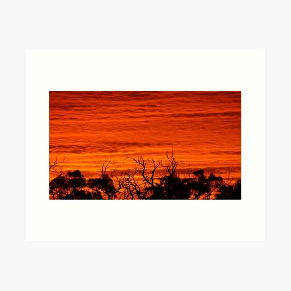 Original art for sale Adelaide, Adelaide art for sale online, Adelaide art for sale cheap, Art prints Adelaide, Wall art Adelaide, Framed prints Adelaide, Adelaide Artists, Picture shops Adelaide, Original art for sale Adelaide south, Original art for sale Adelaide cheap, Art Galleries Adelaide, Art for sale Adelaide, Adelaide Artists, Wall art shops Adelaide, picture shops Adelaide, House of prints Adelaide, Art Prints Adelaide, Avril Thomas, Magpie Springs, Photos of the Fleurieu Peninsula, photos of the Fleurieu Peninsula for sale, Fleurieu peninsula artists, Fleurieu artists, Fleurieu peninsula art for sale, Shop Fleurieu Peninsula, Prints, Fine art prints of Fleurieu Peninsula, Fleurieu Peninsula Artworks for Sale, buy art online, buy art prints, buy art prints Australia, buy art prints Melbourne, buy art prints Sydney, buy art Adelaide, buy art prints online Australia, Wall art Adelaide cheap, wall art Adelaide, Redbubble, Redbubble artist, Redbubble Shop, Bestselling Redbubble prints,