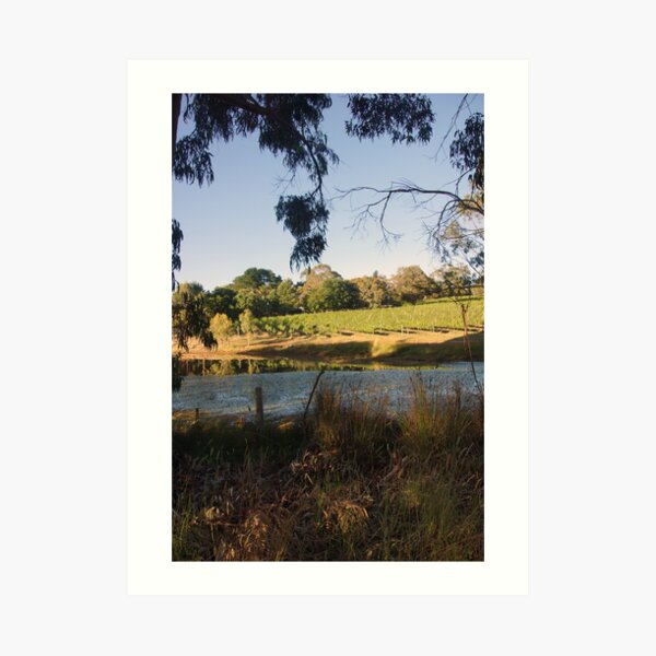 Original art for sale Adelaide, Adelaide art for sale online, Adelaide art for sale cheap, Art prints Adelaide, Wall art Adelaide, Framed prints Adelaide, Adelaide Artists, Picture shops Adelaide, Original art for sale Adelaide south, Original art for sale Adelaide cheap, Art Galleries Adelaide, Art for sale Adelaide, Adelaide Artists, Wall art shops Adelaide, picture shops Adelaide, House of prints Adelaide, Art Prints Adelaide, Avril Thomas, Magpie Springs, Photos of the Fleurieu Peninsula, photos of the Fleurieu Peninsula for sale, Fleurieu peninsula artists, Fleurieu artists, Fleurieu peninsula art for sale, Shop Fleurieu Peninsula, Prints, Fine art prints of Fleurieu Peninsula, Fleurieu Peninsula Artworks for Sale, buy art online, buy art prints, buy art prints Australia, buy art prints Melbourne, buy art prints Sydney, buy art Adelaide, buy art prints online Australia, Wall art Adelaide cheap, wall art Adelaide, Wine Industry, wine lover, wine décor, Adelaide Hills Wine Region,