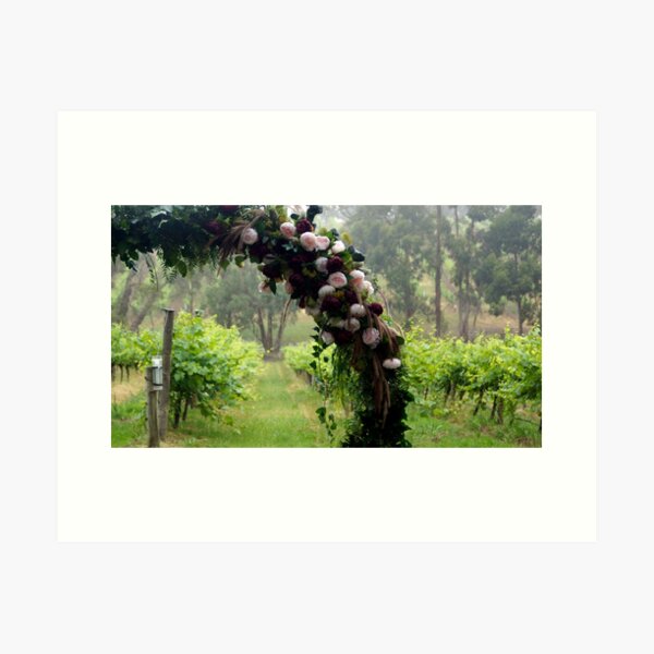 Original art for sale Adelaide, Adelaide art for sale online, Adelaide art for sale cheap, Art prints Adelaide, Wall art Adelaide, Framed prints Adelaide, Adelaide Artists, Picture shops Adelaide, Original art for sale Adelaide south, Original art for sale Adelaide cheap, Art Galleries Adelaide, Art for sale Adelaide, Adelaide Artists, Wall art shops Adelaide, picture shops Adelaide, House of prints Adelaide, Art Prints Adelaide, Avril Thomas, Magpie Springs, Photos of the Fleurieu Peninsula, photos of the Fleurieu Peninsula for sale, Fleurieu peninsula artists, Fleurieu artists, Fleurieu peninsula art for sale, Shop Fleurieu Peninsula, Prints, Fine art prints of Fleurieu Peninsula, Fleurieu Peninsula Artworks for Sale, buy art online, buy art prints, buy art prints Australia, buy art prints Melbourne, buy art prints Sydney, buy art Adelaide, buy art prints online Australia, Wall art Adelaide cheap, wall art Adelaide, Redbubble, Redbubble artist, Redbubble Shop, Bestselling Redbubble prints, Best selling artist on Redbubble, Wine region, wine industry, Adelaide Hills Wine Region, South Australian wine Region, Wedding Venue