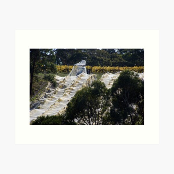 Original art for sale Adelaide, Adelaide art for sale online, Adelaide art for sale cheap, Art prints Adelaide, Wall art Adelaide, Framed prints Adelaide, Adelaide Artists, Picture shops Adelaide, Original art for sale Adelaide south, Original art for sale Adelaide cheap, Art Galleries Adelaide, Art for sale Adelaide, Adelaide Artists, Wall art shops Adelaide, picture shops Adelaide, House of prints Adelaide, Art Prints Adelaide, Avril Thomas, Magpie Springs, Photos of the Fleurieu Peninsula, photos of the Fleurieu Peninsula for sale, Fleurieu peninsula artists, Fleurieu artists, Fleurieu peninsula art for sale, Shop Fleurieu Peninsula, Prints, Fine art prints of Fleurieu Peninsula, Fleurieu Peninsula Artworks for Sale, buy art online, buy art prints, buy art prints Australia, buy art prints Melbourne, buy art prints Sydney, buy art Adelaide, buy art prints online Australia, Wall art Adelaide cheap, wall art Adelaide, Redbubble, Redbubble artist, Redbubble Shop, Bestselling Redbubble prints, Best selling artist on Redbubble, Wine region, wine industry, Adelaide Hills Wine Region, South Australian wine Region,